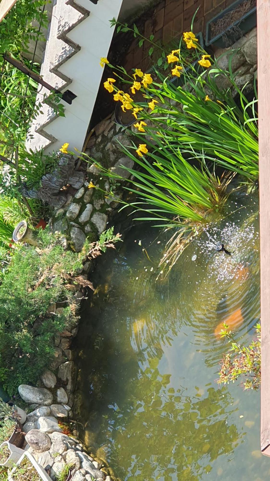Saint Paul De Vence Villa Damyang Ruang foto