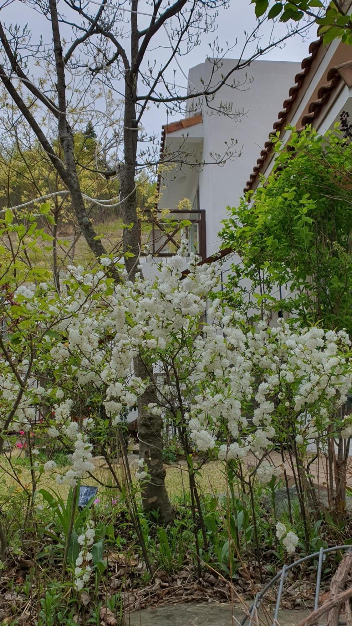 Saint Paul De Vence Villa Damyang Ruang foto