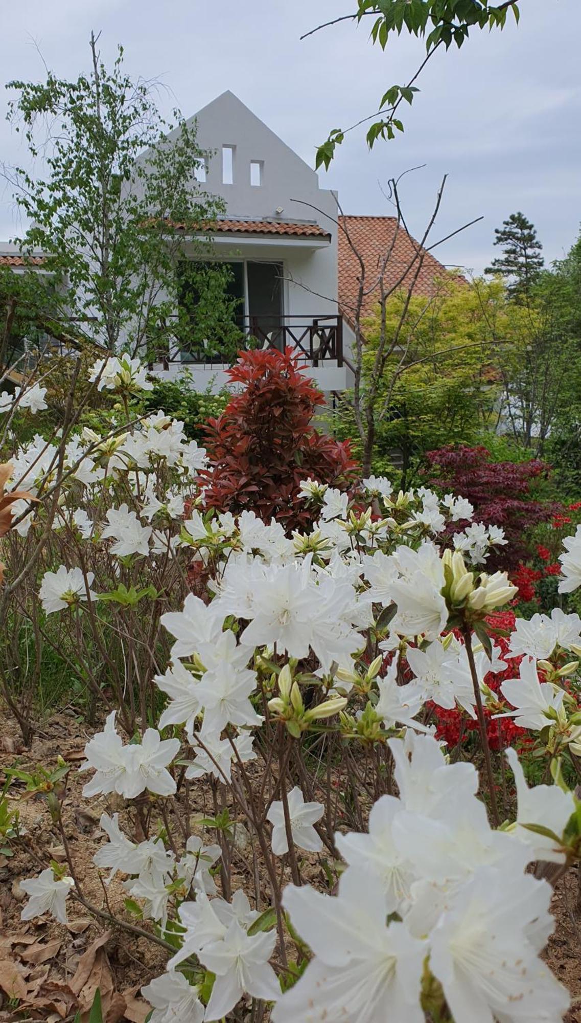 Saint Paul De Vence Villa Damyang Ruang foto