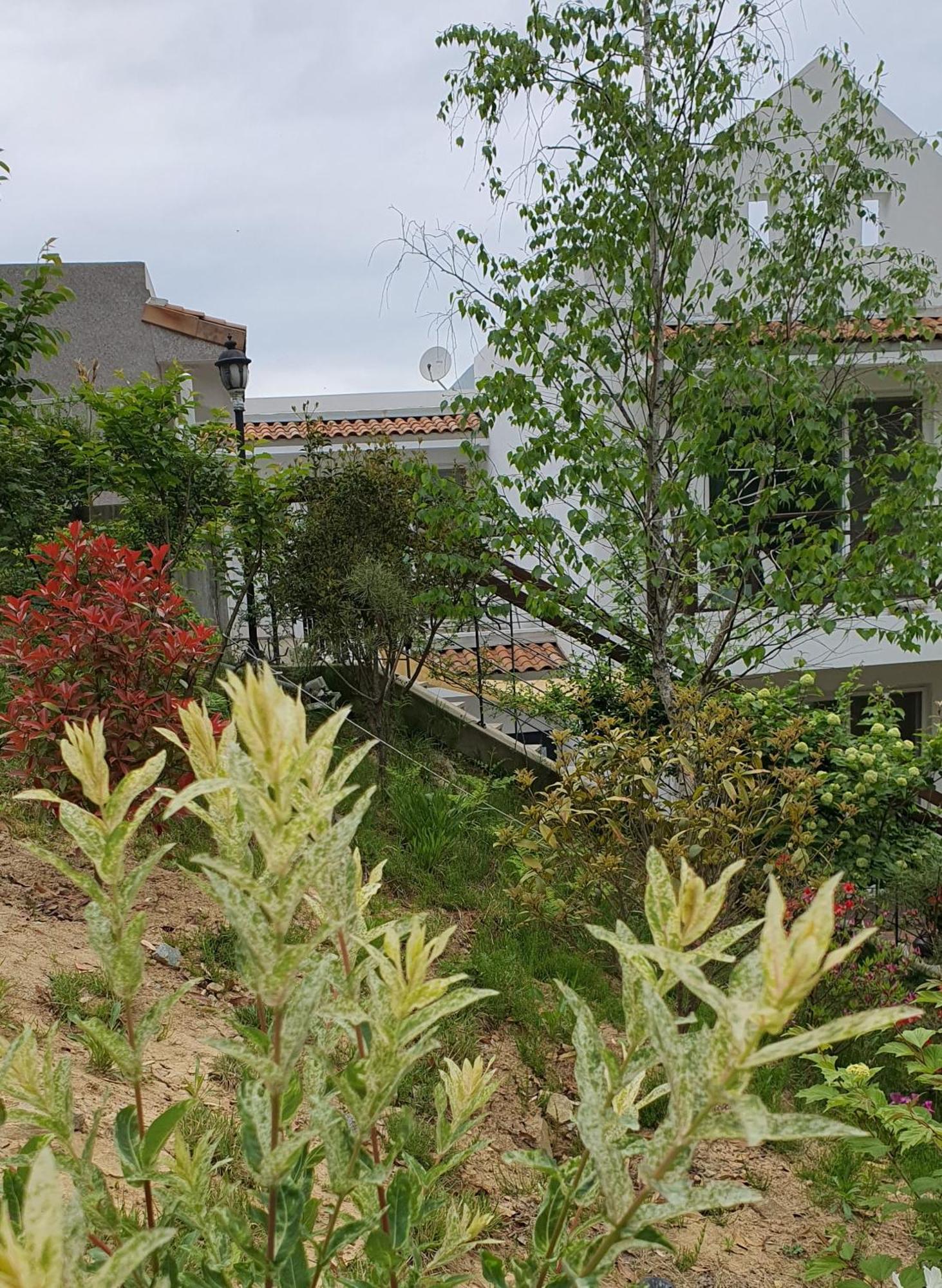Saint Paul De Vence Villa Damyang Ruang foto