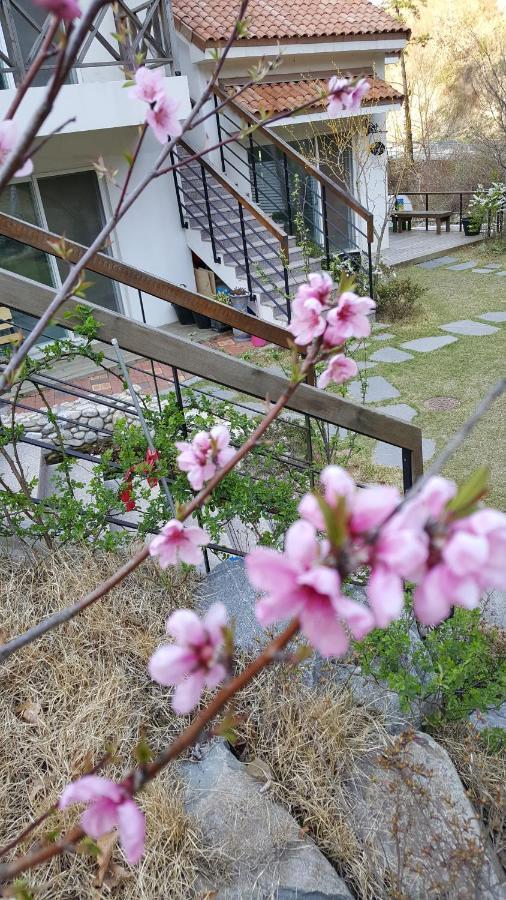 Saint Paul De Vence Villa Damyang Bagian luar foto